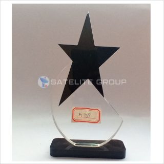A188 ACRYLIC AWARD