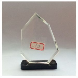 A9 ACRYLIC AWARD