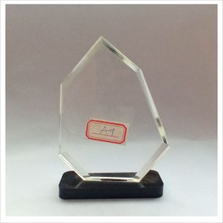 A9 ACRYLIC AWARD