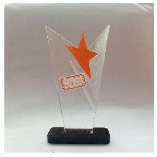 F101 ACRYLIC AWARD