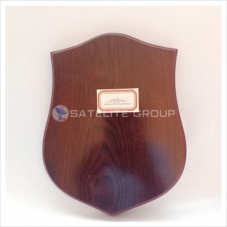 A03-2 WOOD AWARD