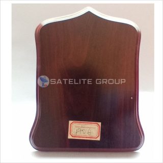 A06 WOOD AWARD