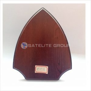 A10-1 WOOD AWARD