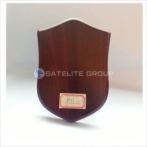 A11 WOOD AWARD