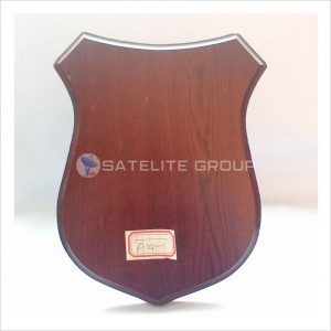 A14-1 WOOD AWARD