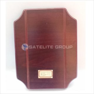 A21-1 WOOD AWARD