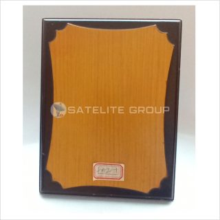FA2-1 WOOD AWARD
