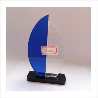 F156 acrylic award
