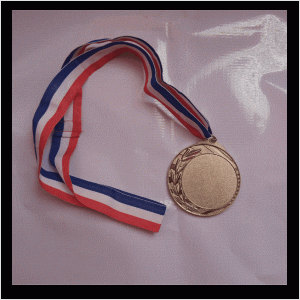 C13 silver medal