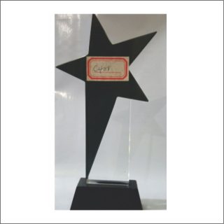 c488-b glass award