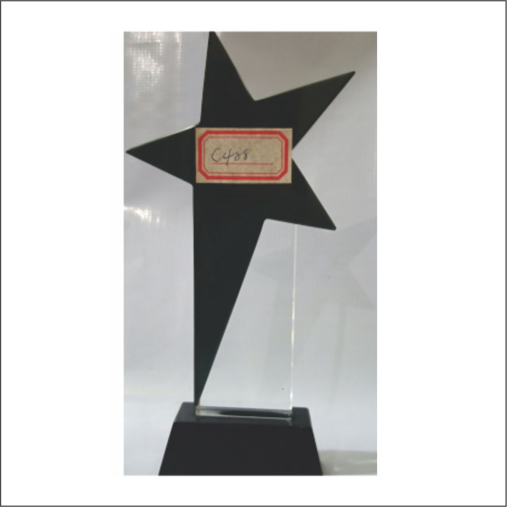 c488-b glass award