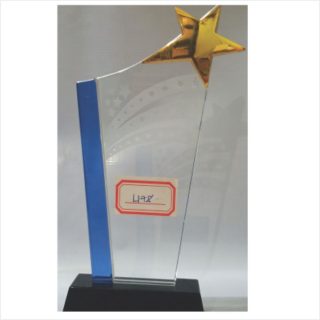 L178 glass award