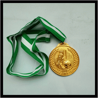 c26 medal