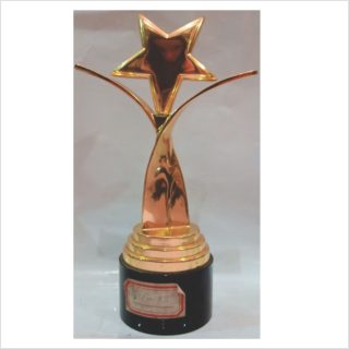 ty-13 glass award