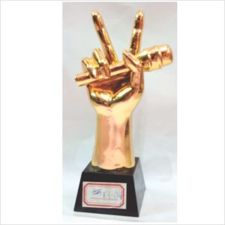 ty-34 glass award