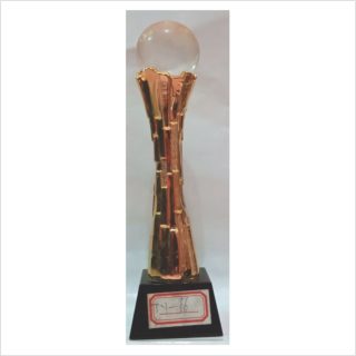 ty-66 glass award