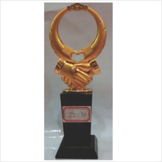 Ty-70 glass award