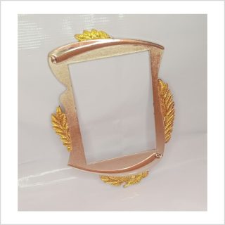 F102 SILVER &GOLD FRAME