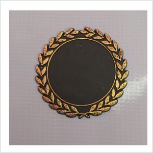 M12 Medallion