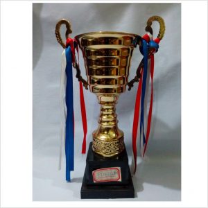 T3030 D Trophy